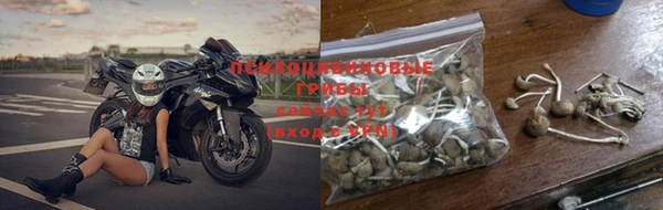 первитин Богданович