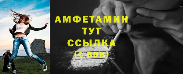 молекула духа Богородск