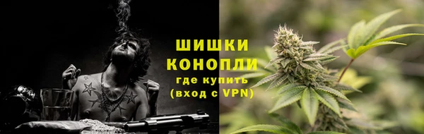 первитин Богданович