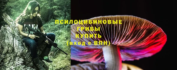 молекула духа Богородск