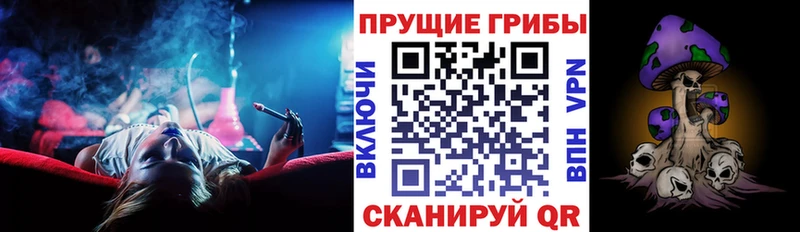 Галлюциногенные грибы Cubensis  Волосово 